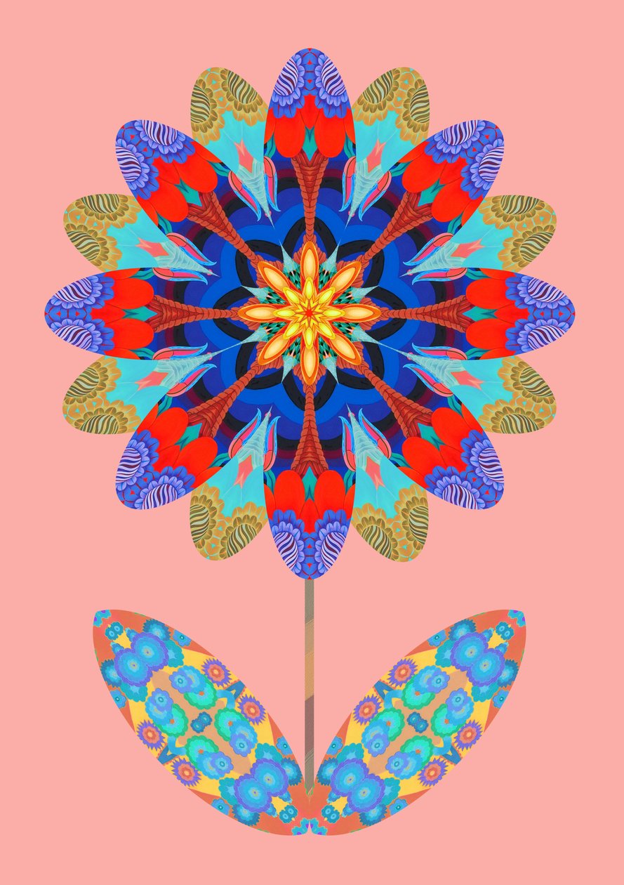 淡粉色上的花朵剪影，2020年 作者 简·塔特斯菲尔德