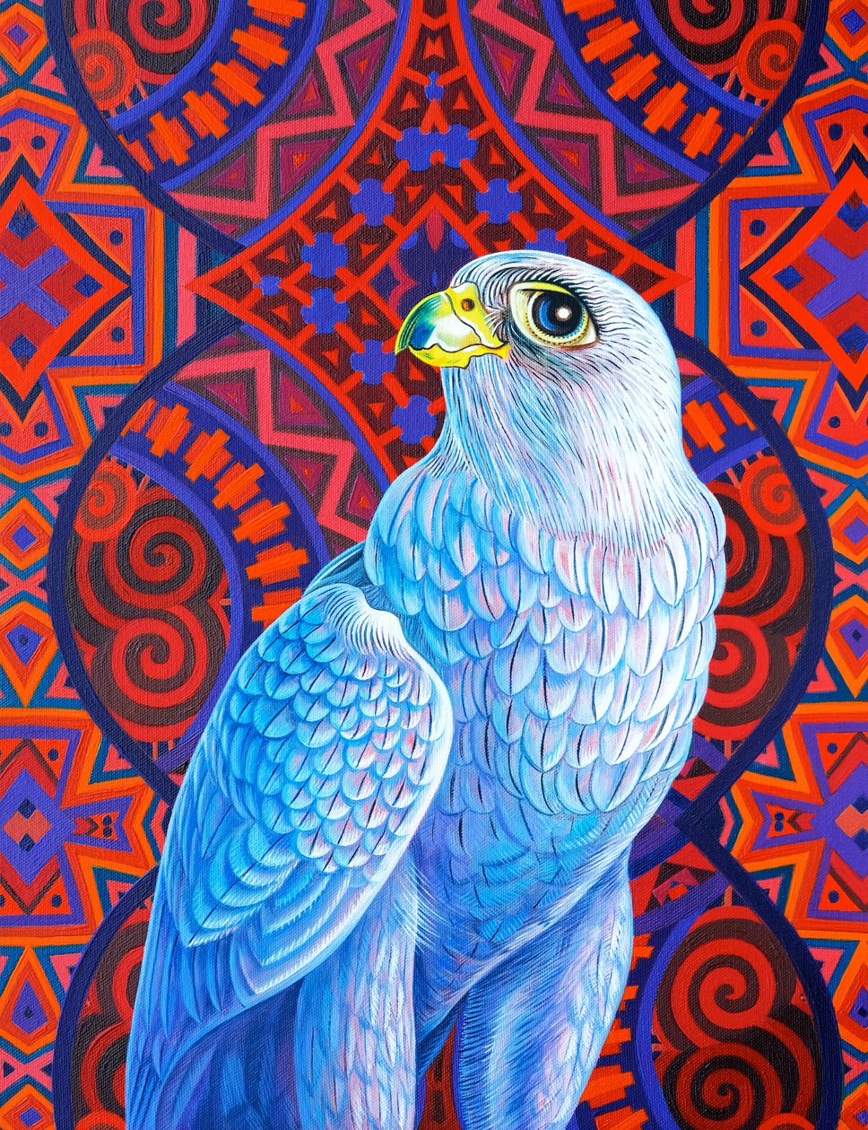 灰隼，2017， 作者 简·塔特斯菲尔德