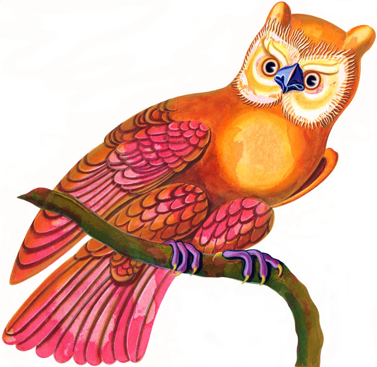 Owl，1997，（墨水和水粉） 作者 简·塔特斯菲尔德