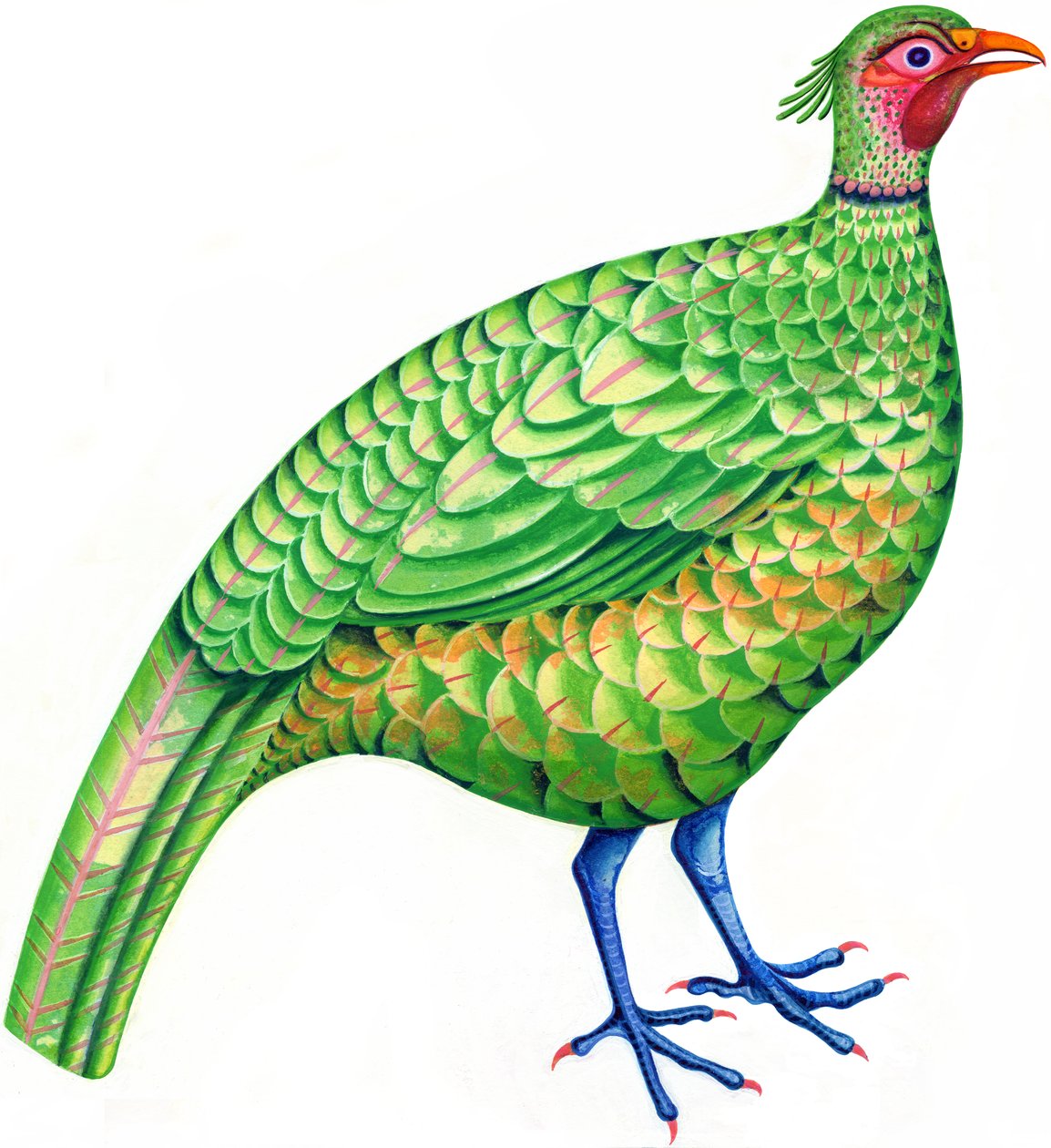 雉鸡，1996年（墨水和水粉） 作者 简·塔特斯菲尔德