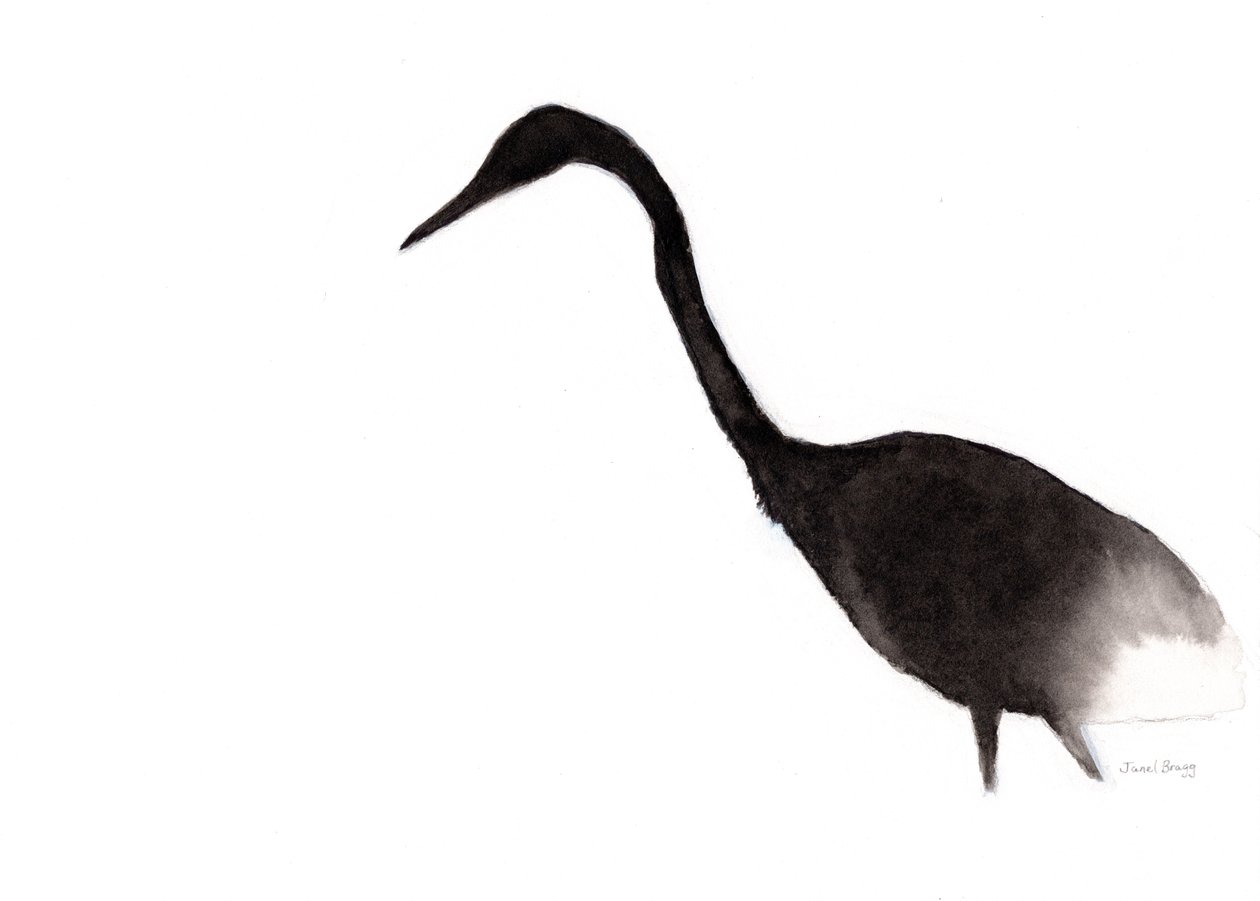 水墨鹭鸶，约 2020 年（纸上墨迹） 作者 贾内尔·布拉格