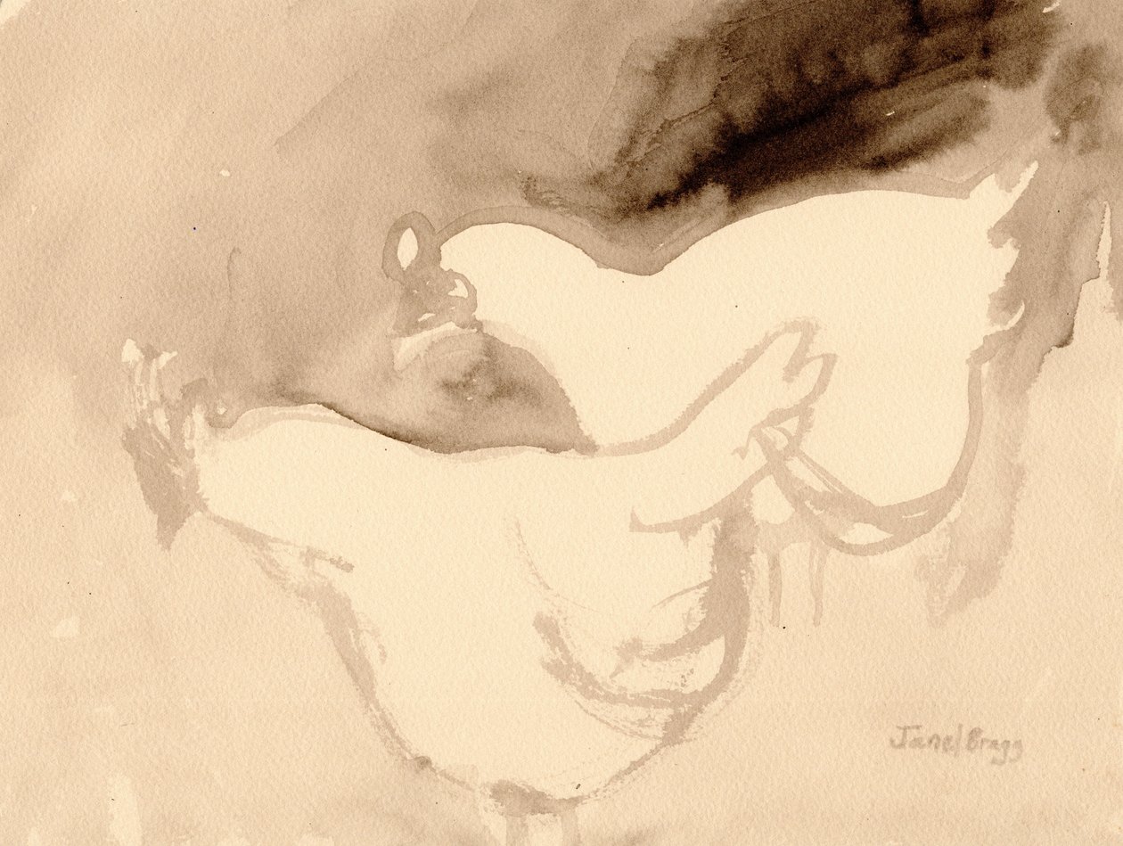 舒赫农场的小鸡》，约2019年（纸本水墨画） 作者 贾内尔·布拉格