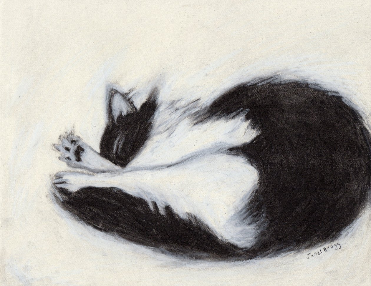 托马斯小憩，约 2018 年（纸上炭笔和粉彩画） 作者 贾内尔·布拉格