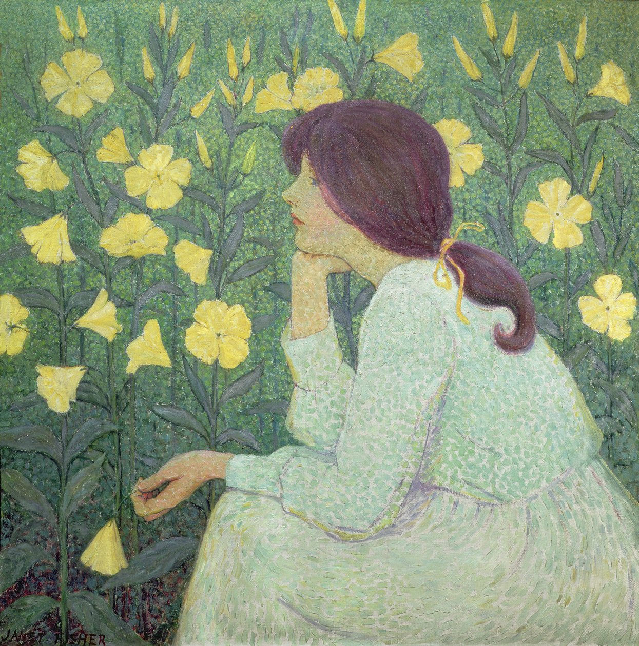 遥远的想法 作者 珍妮特·费希尔（Janet Fisher）