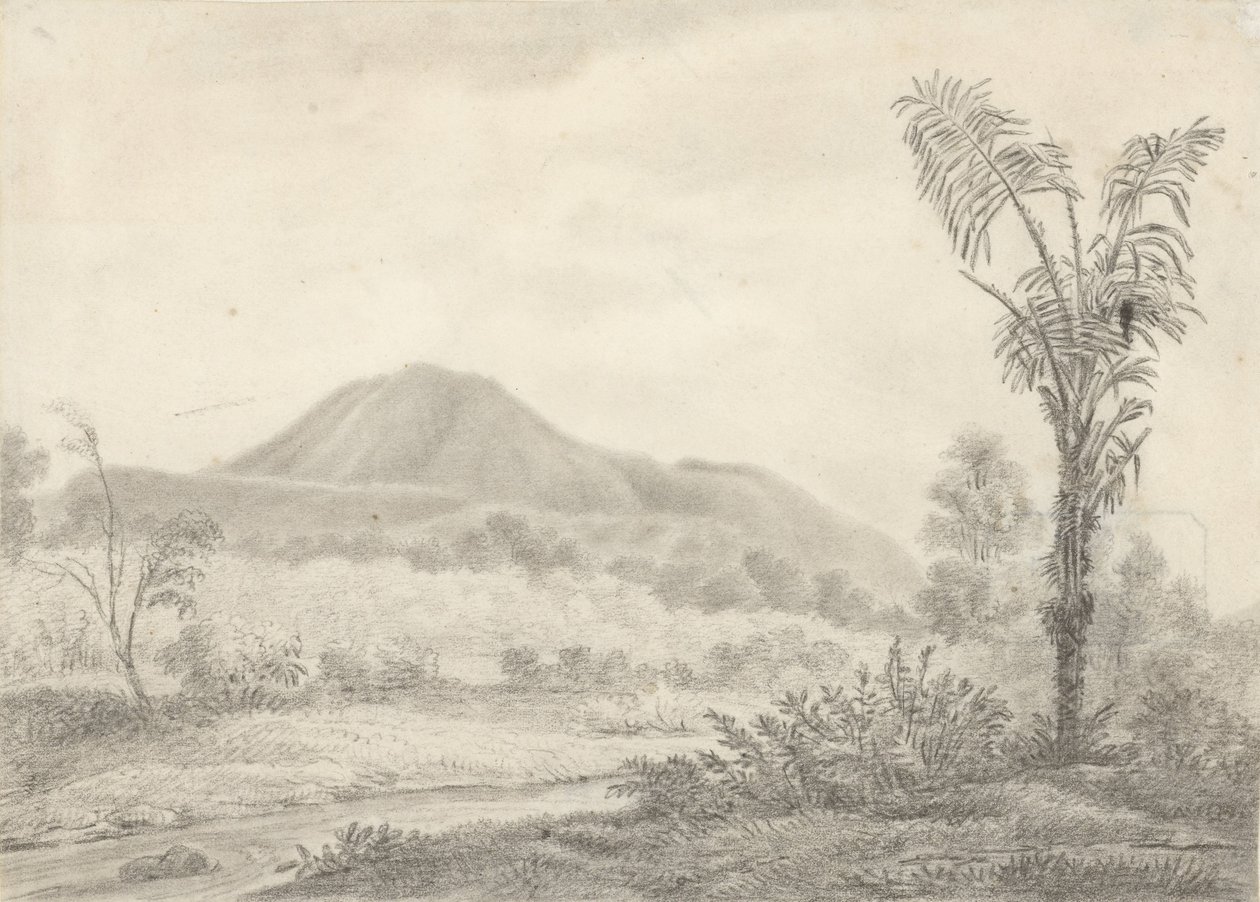与山和棕榈的爪哇风景 作者 Jannes Theodorus Bik