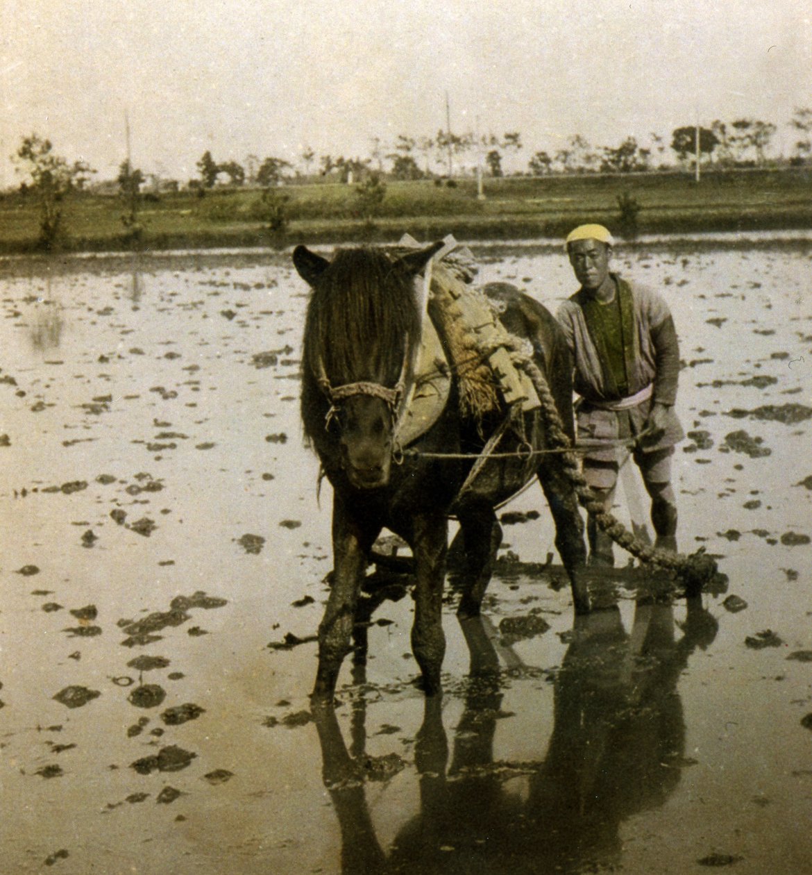 耕田稻田，c.1900（蛋白照片） 作者 日本摄影师