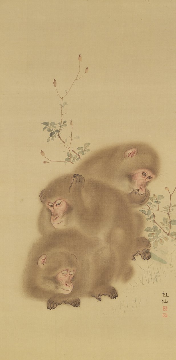 狒狒家族（丝绸上的墨水和颜色） 作者 日本学校