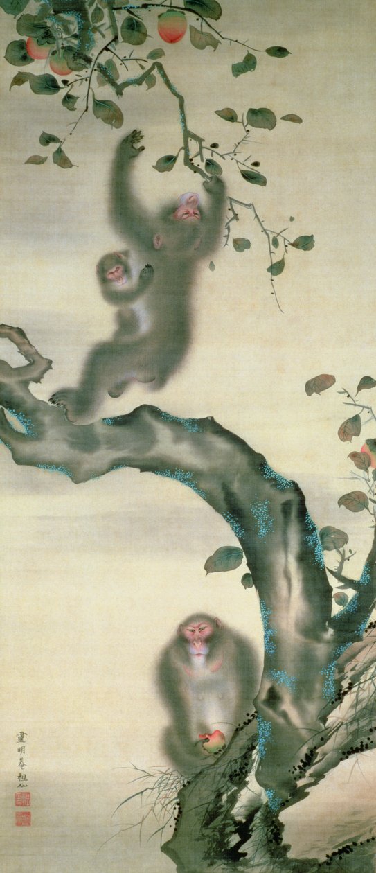 一棵树上的猴子家族（墨水和纸张上的wc） 作者 日本学校