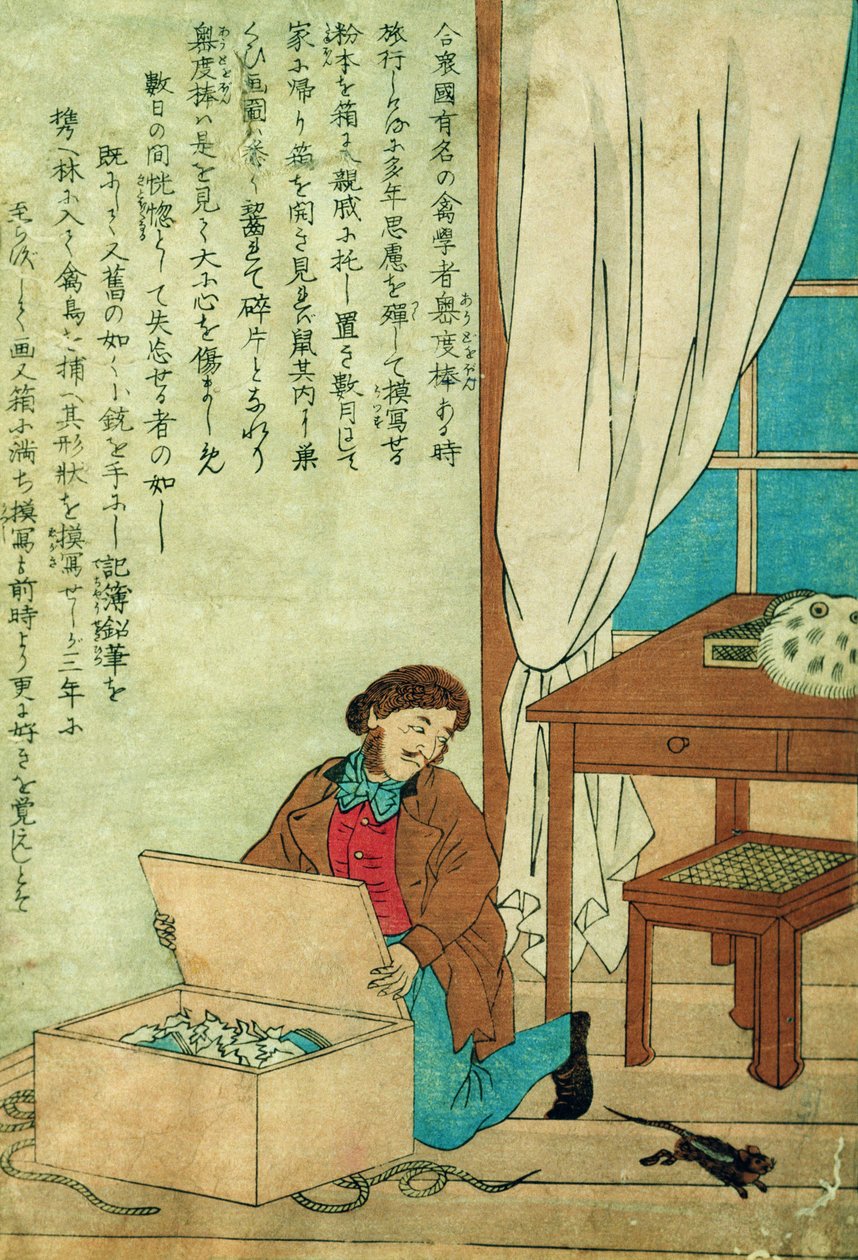 JJ奥杜邦（1785-1851）去日本旅行时发现了一只老鼠，即1840年 作者 日本学校