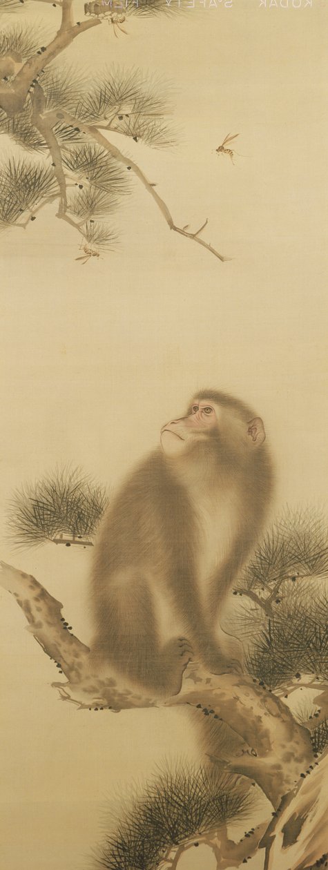 猴子看蜻蜓（墨水在纸上） 作者 日本学校