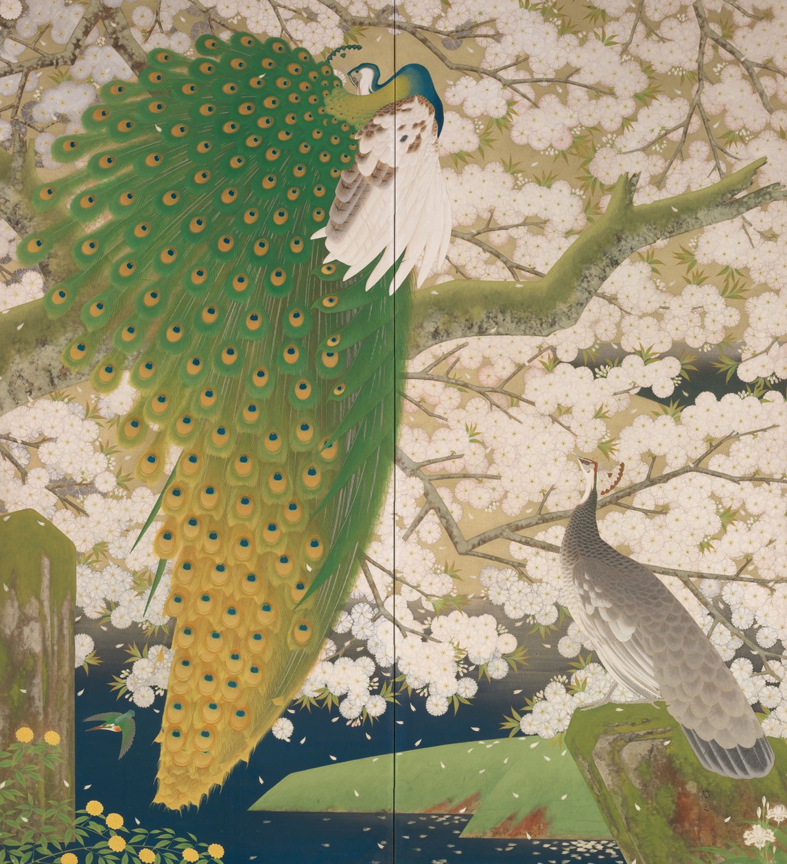 孔雀和樱桃树，c.1925（金属和纸上的颜色） 作者 日本学校
