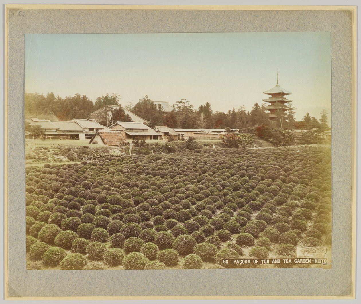 日本京都东寺塔和茶园（手绘黑白照片） 作者 日本摄影师
