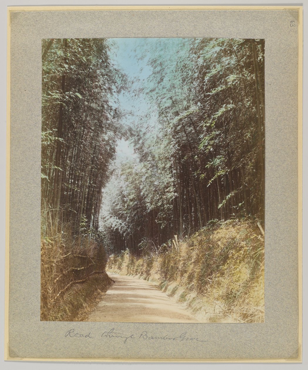 穿过竹林的道路，日本（手绘黑白照片）。 作者 日本摄影师