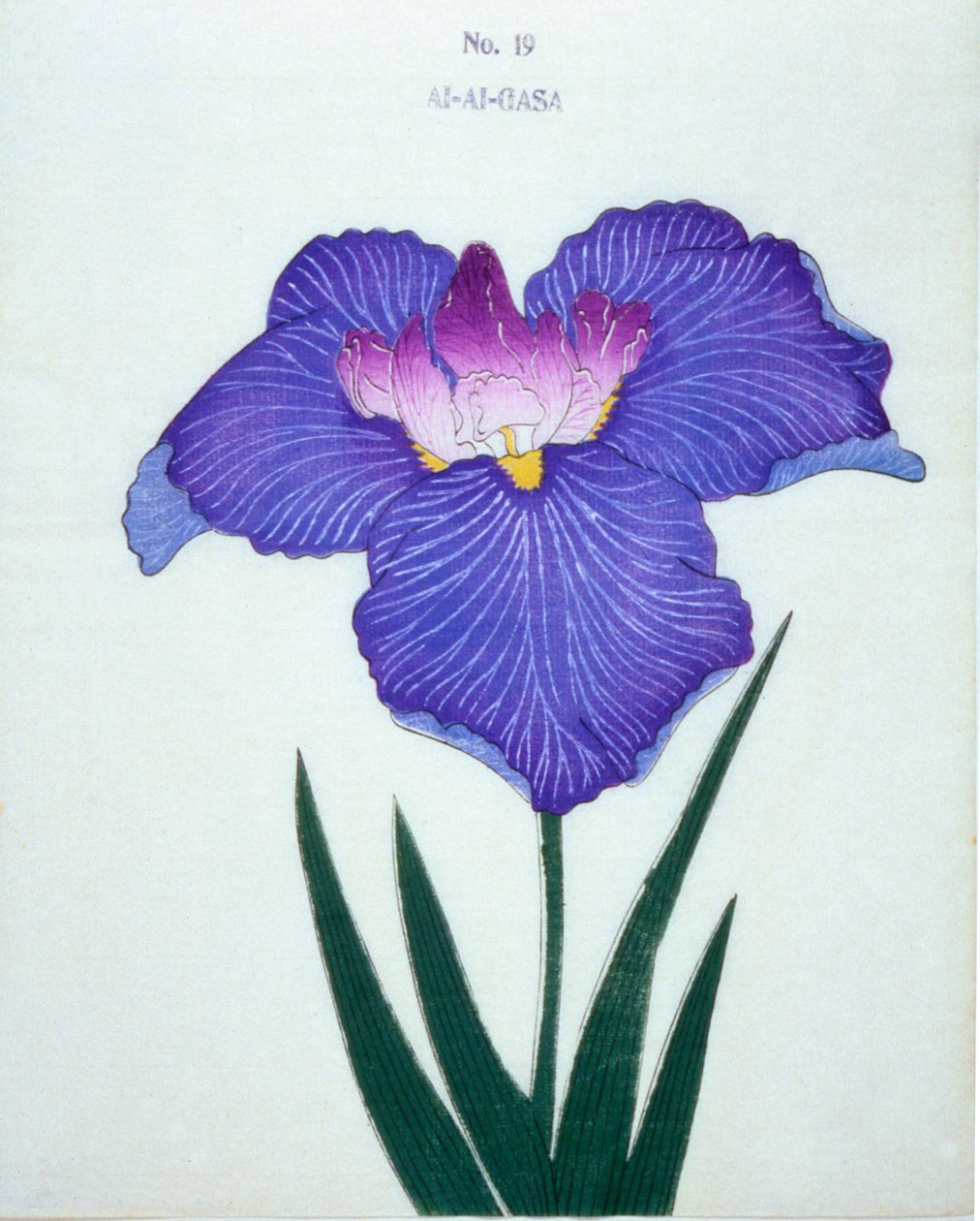Al-Al-Gasa，1898年 作者 日本学校