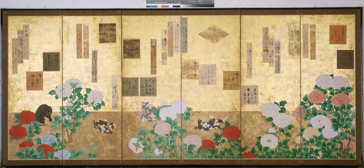 动物和开花植物 作者 日本学校