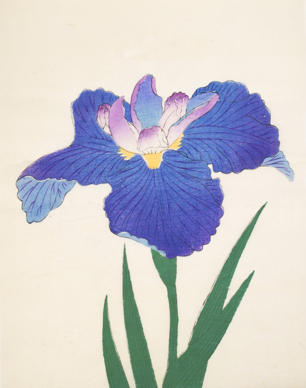 Aoi-Gata，第30期，1898年 作者 日本学校