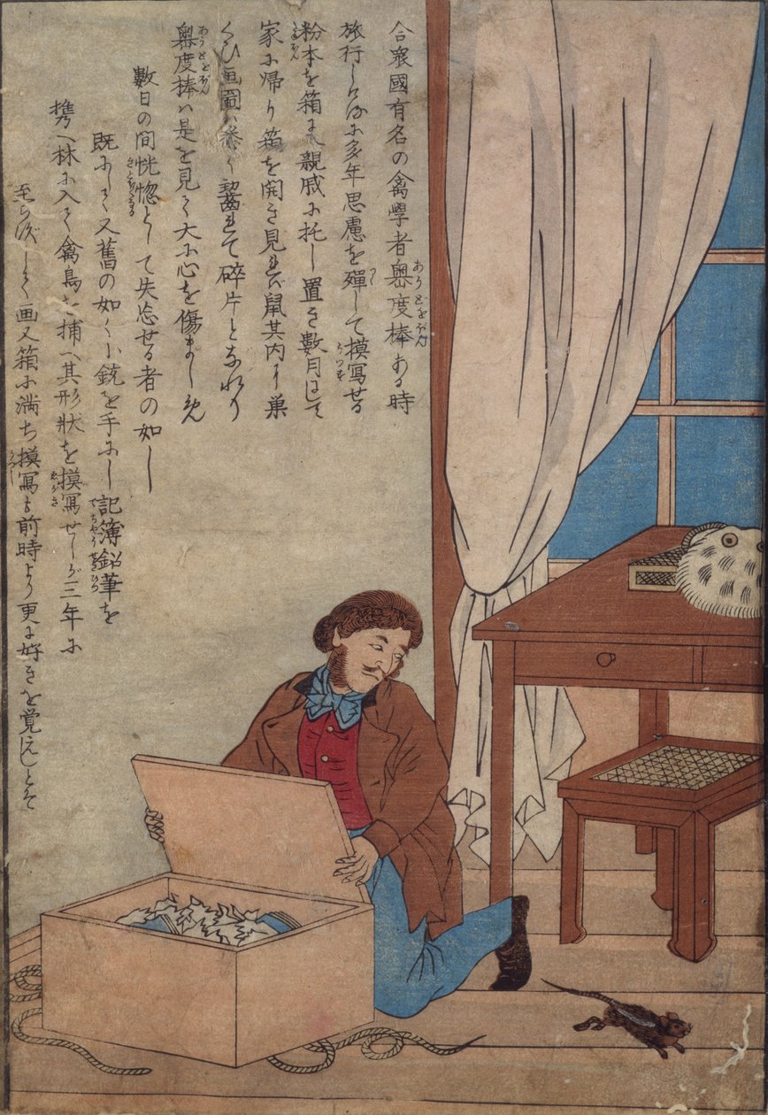 奥杜邦开放他的水箱被挪威老鼠摧毁，c.1872-77 作者 日本学校