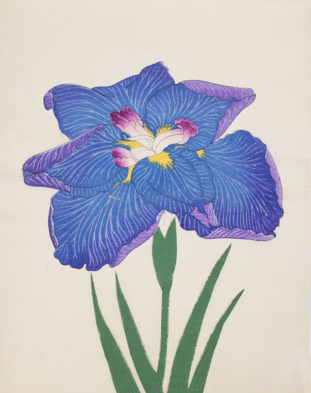 Azumabotan，第89号，1890年（彩色木版画） 作者 日本学校