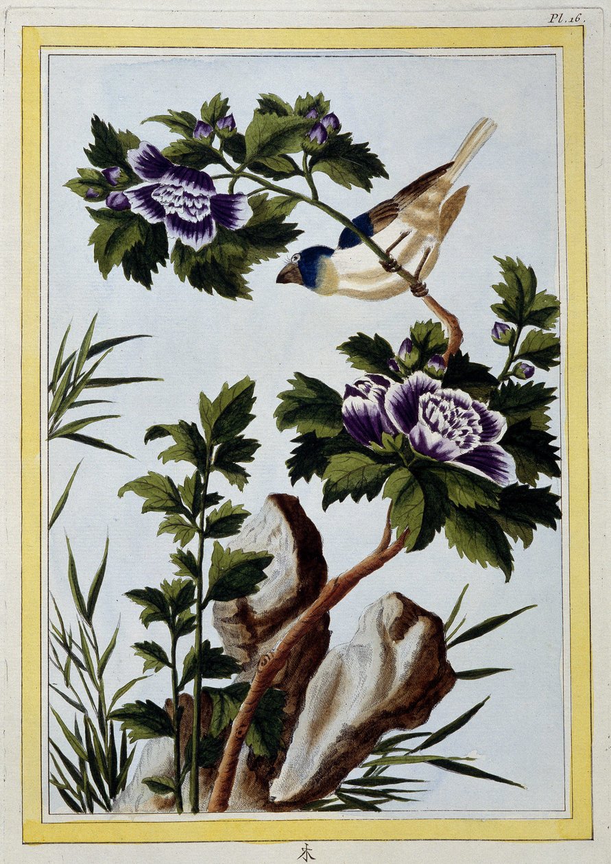 Bird - Japanese print 作者 日本学校
