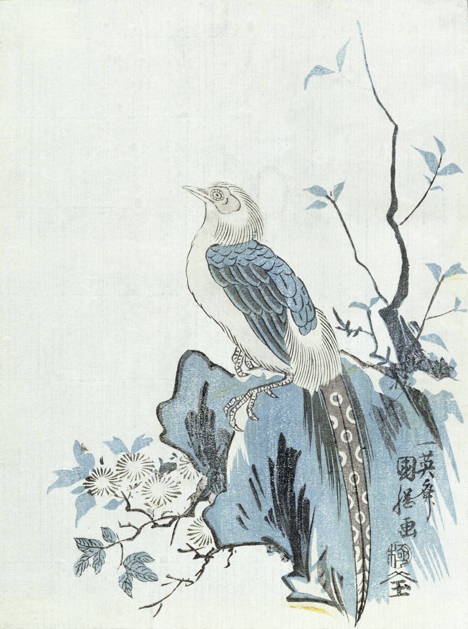 岩石上的鸟（木刻版画） 作者 日本学校