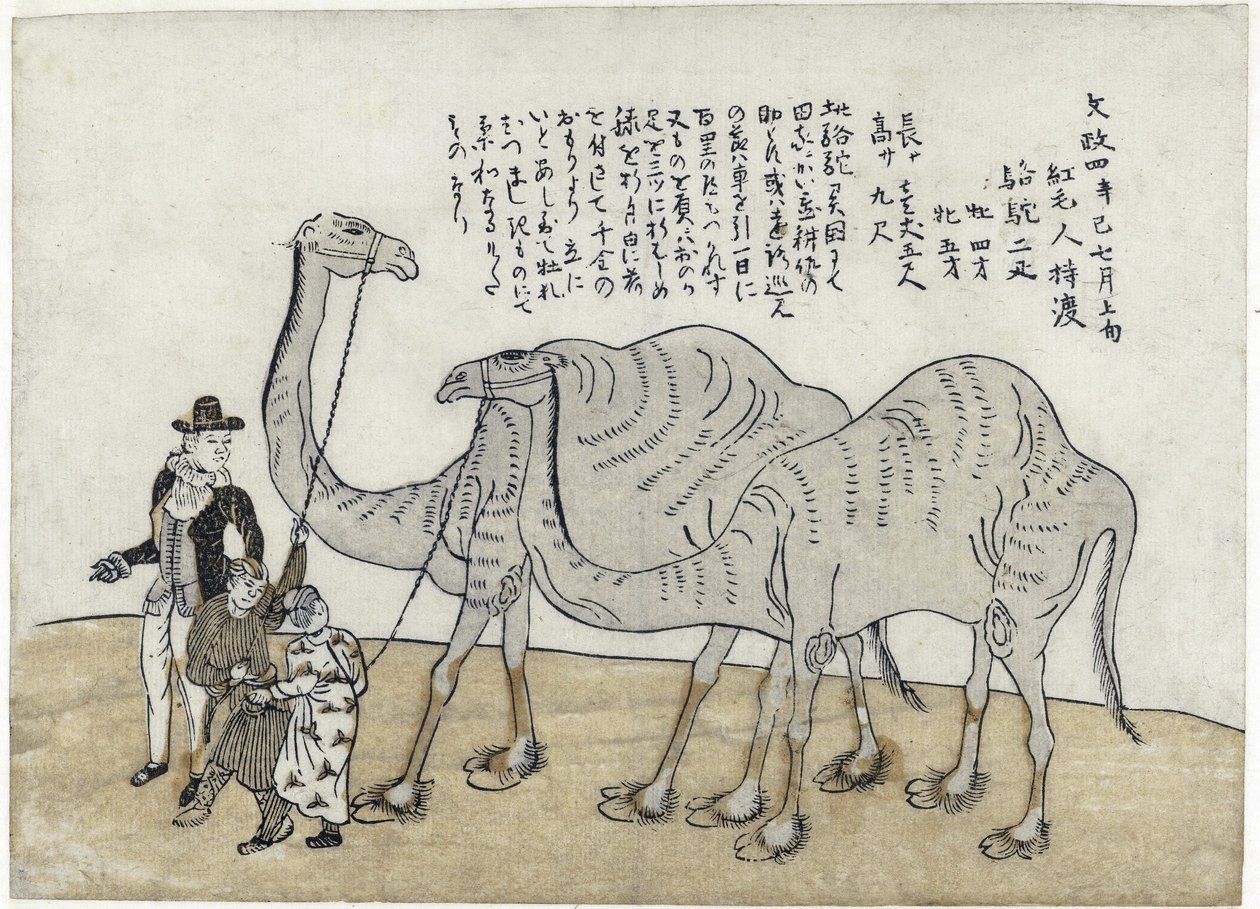 骆驼与处理程序，酒吧。 1821年（彩色木刻） 作者 日本学校