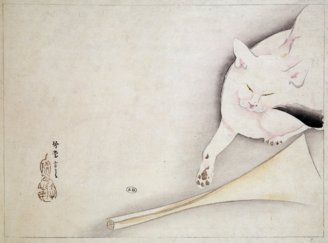 猫，日本绘画，未注明日期 19 世纪。 作者 日本学校