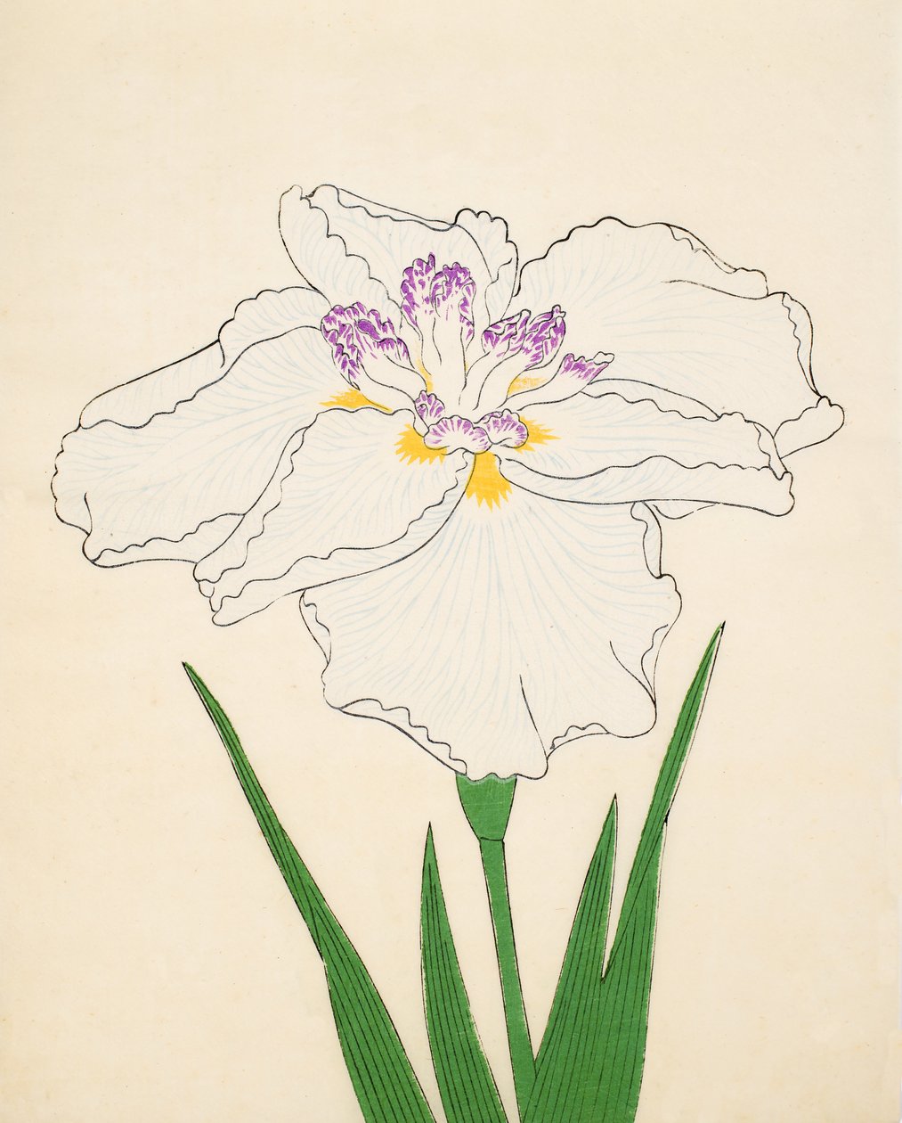 Cho-Hiyen，No。91,1890（彩色木版画） 作者 日本学校