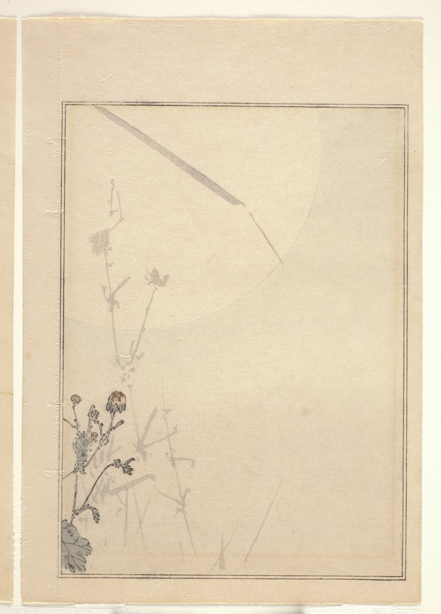 菊花（彩色木刻版画）（另见 374402） 作者 日本学校