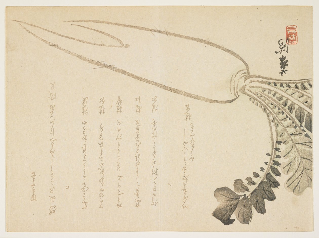 Daikon萝卜，1864年1月（彩色木版画） 作者 日本学校