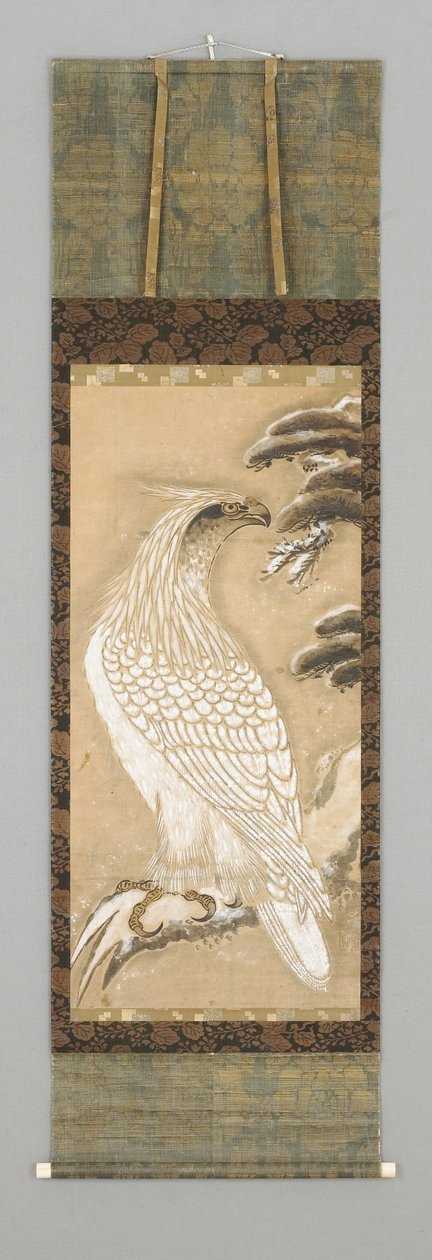 鹰 作者 日本学校