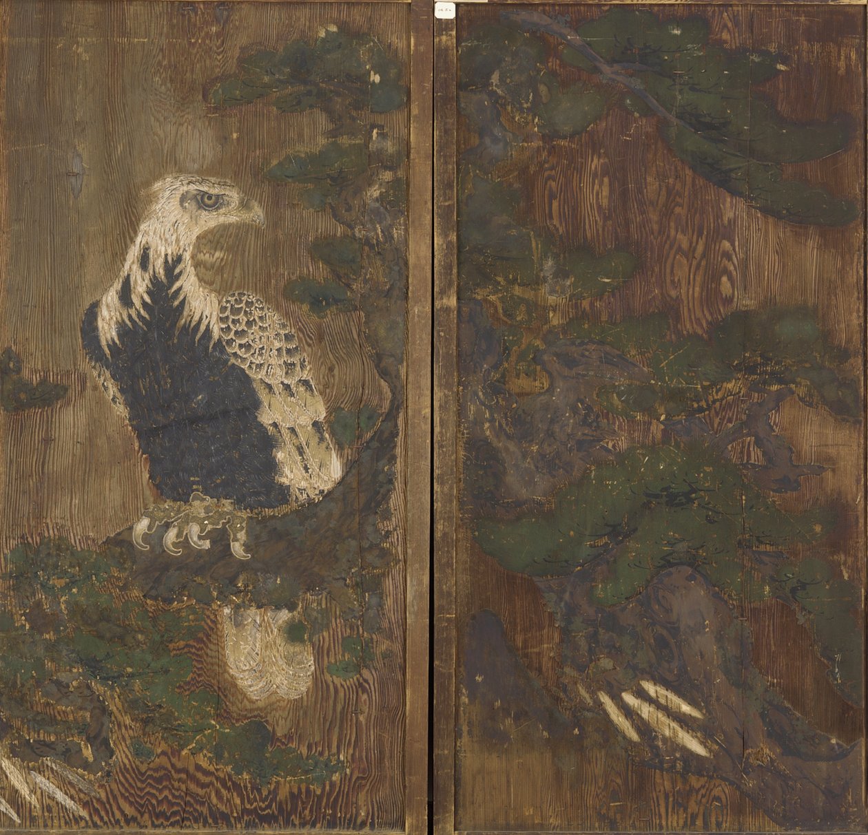 松桃树中的鹰，桃山时期，可能是17世纪（木材上的墨水和颜色） 作者 日本学校