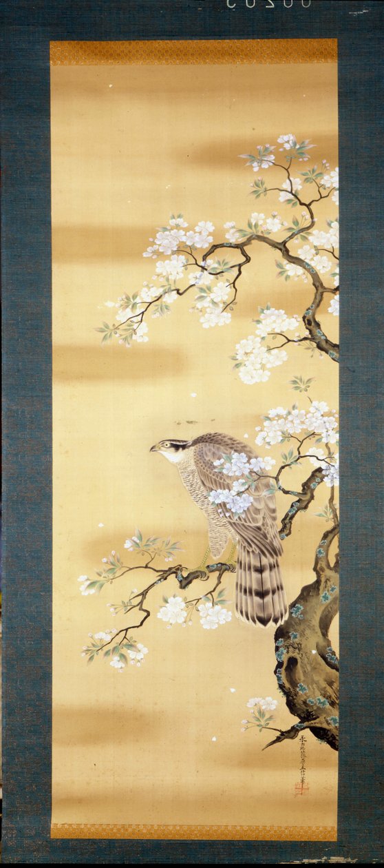 日本樱花树枝上的猎鹰盛开。 18世纪日本的丝绸画。 热那亚。 基奥松博物馆。 作者 日本学校