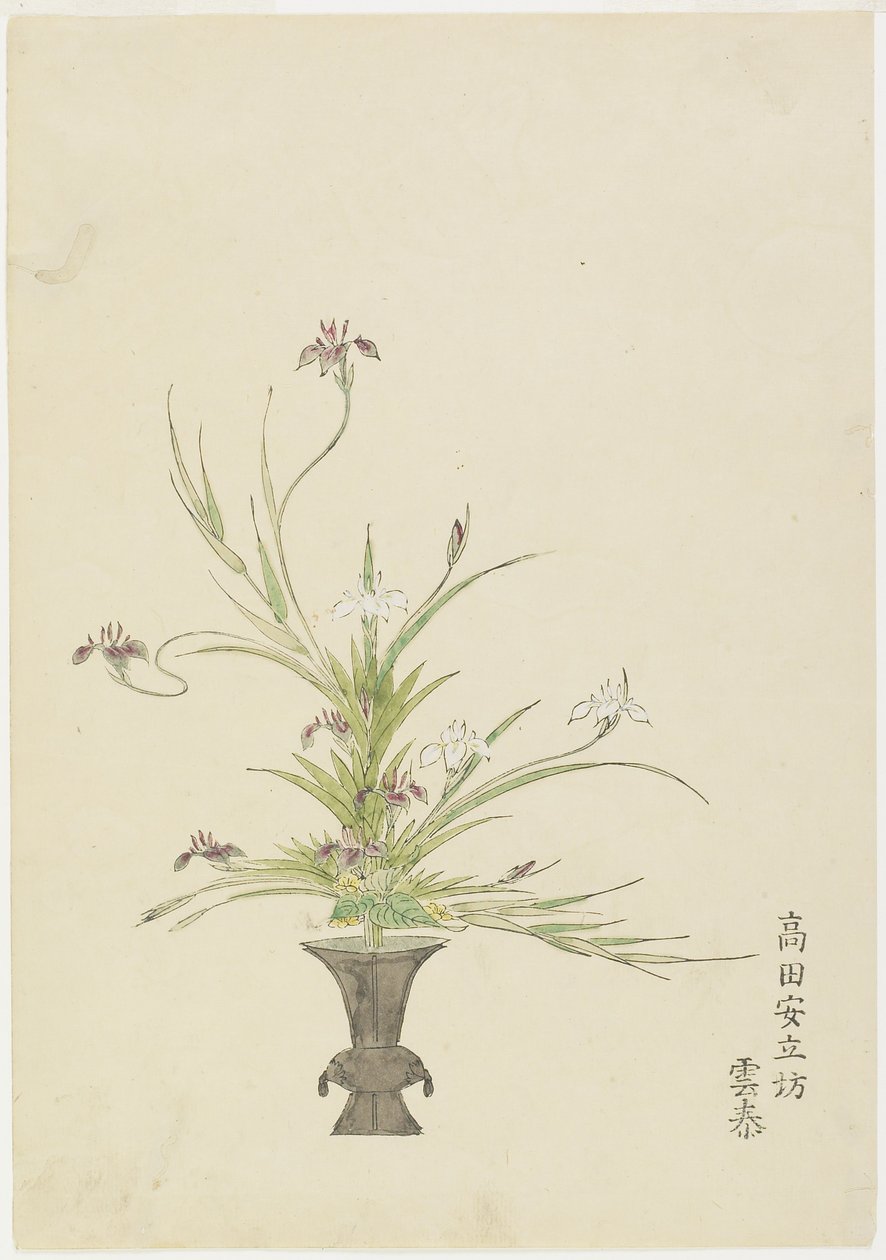 Takada Anritsub的插花？无尽，鸢尾花（手工彩色木版画） 作者 日本学校