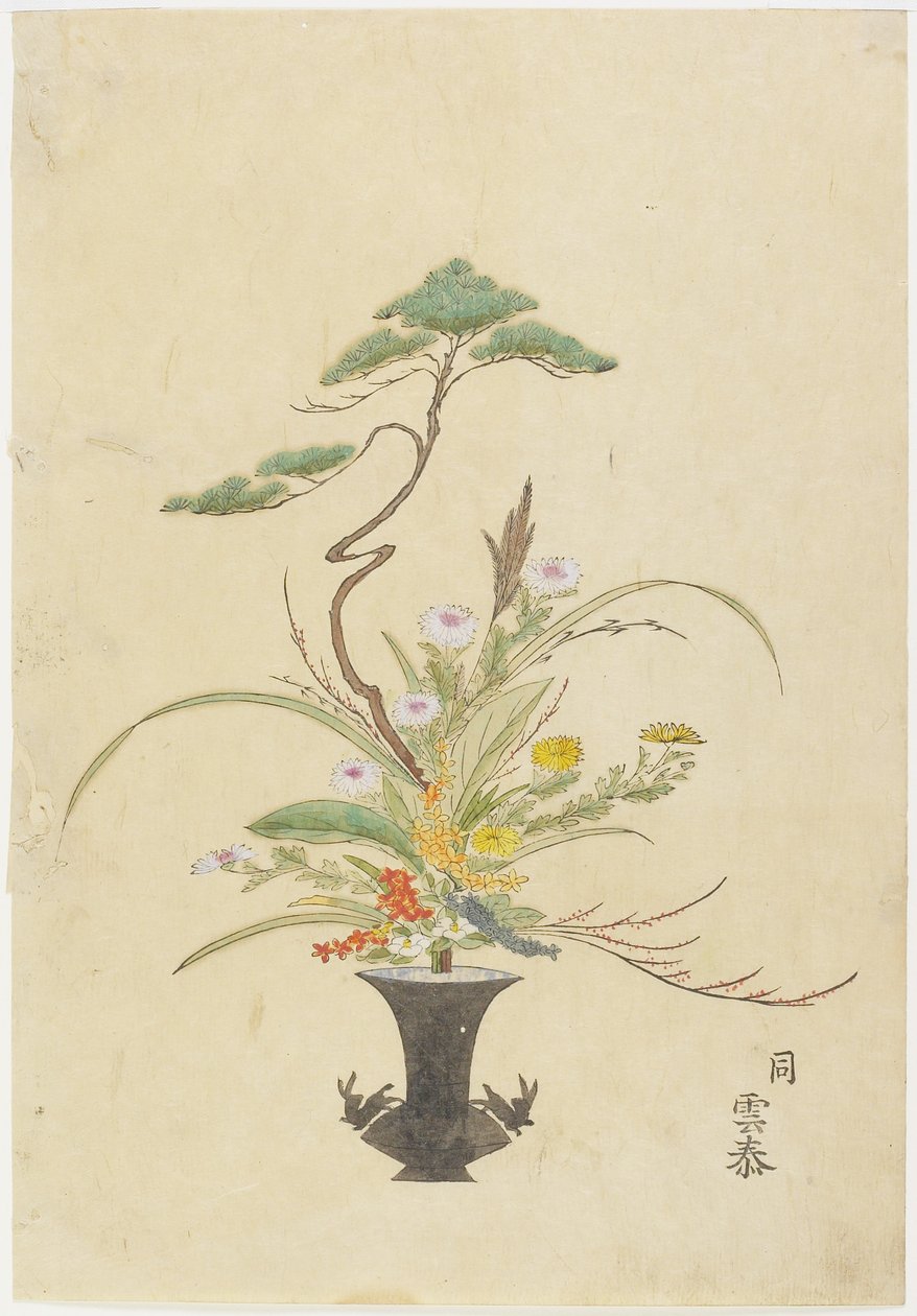 Takada Anritsub的插花？ Untai; Pine，Chrysanthemum和Camelia（手工彩色木版画） 作者 日本学校