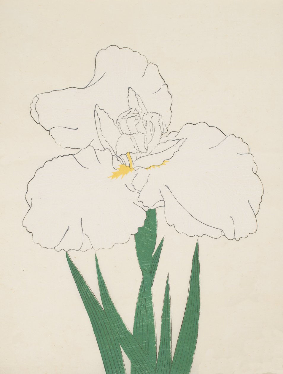 Fuji-No-Yuki，No.1,1890 作者 日本学校