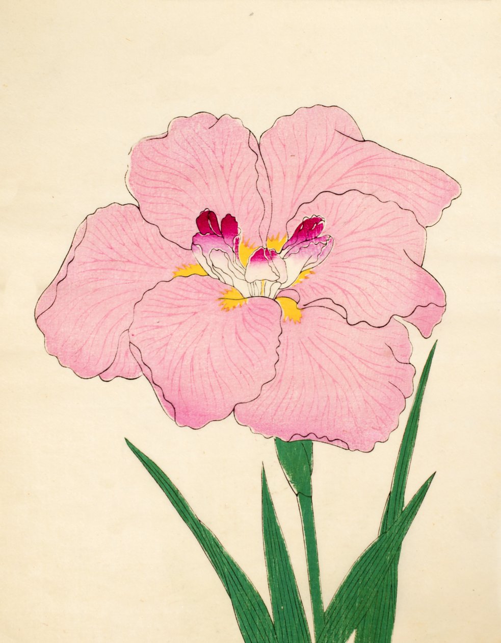 Gofukushoshu，第86号，1890年（彩色木版画） 作者 日本学校