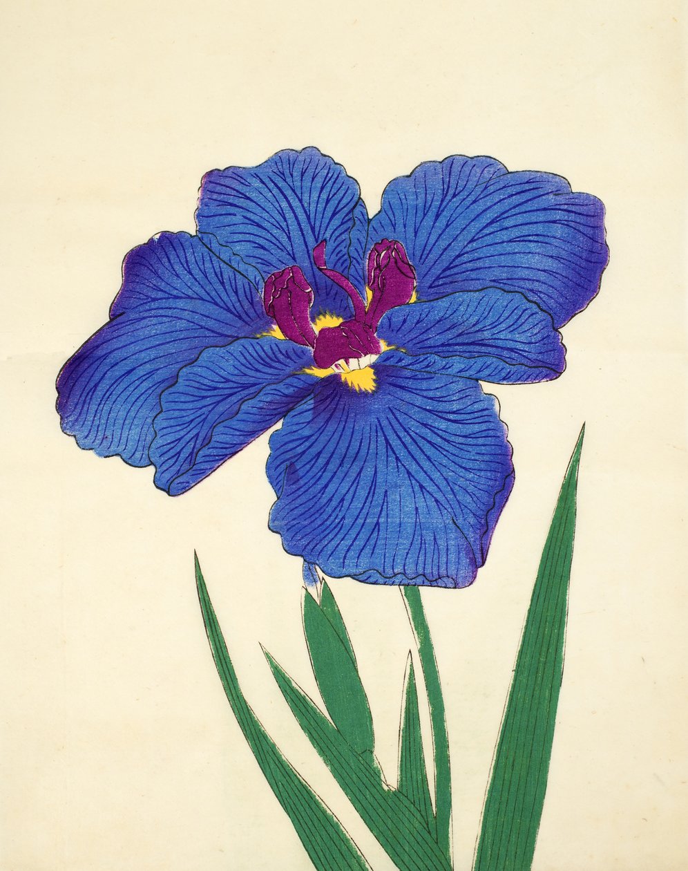 Gosetsu-no.-Mai，1898年9月 作者 日本学校