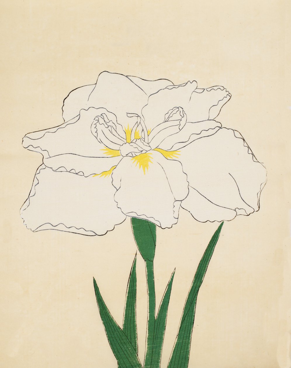 Haku-O-Den，No。40,1890（彩色木版画） 作者 日本学校