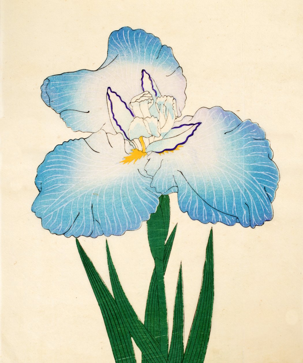 Irojiman，No。80,1890（彩色木版画） 作者 日本学校