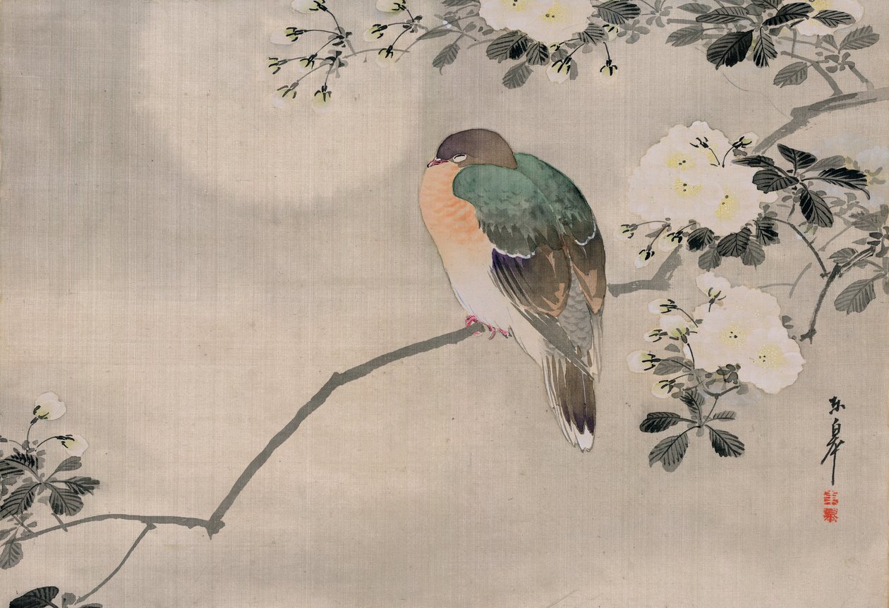 日本丝绸木鸽画 作者 日本学校