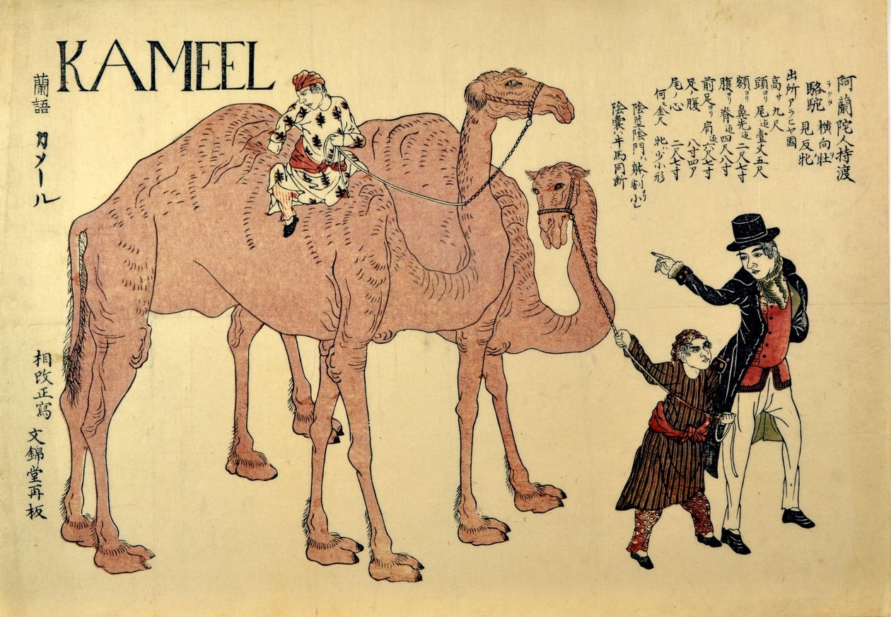 骆驼，酒吧。 1821年（彩色木刻） 作者 日本学校
