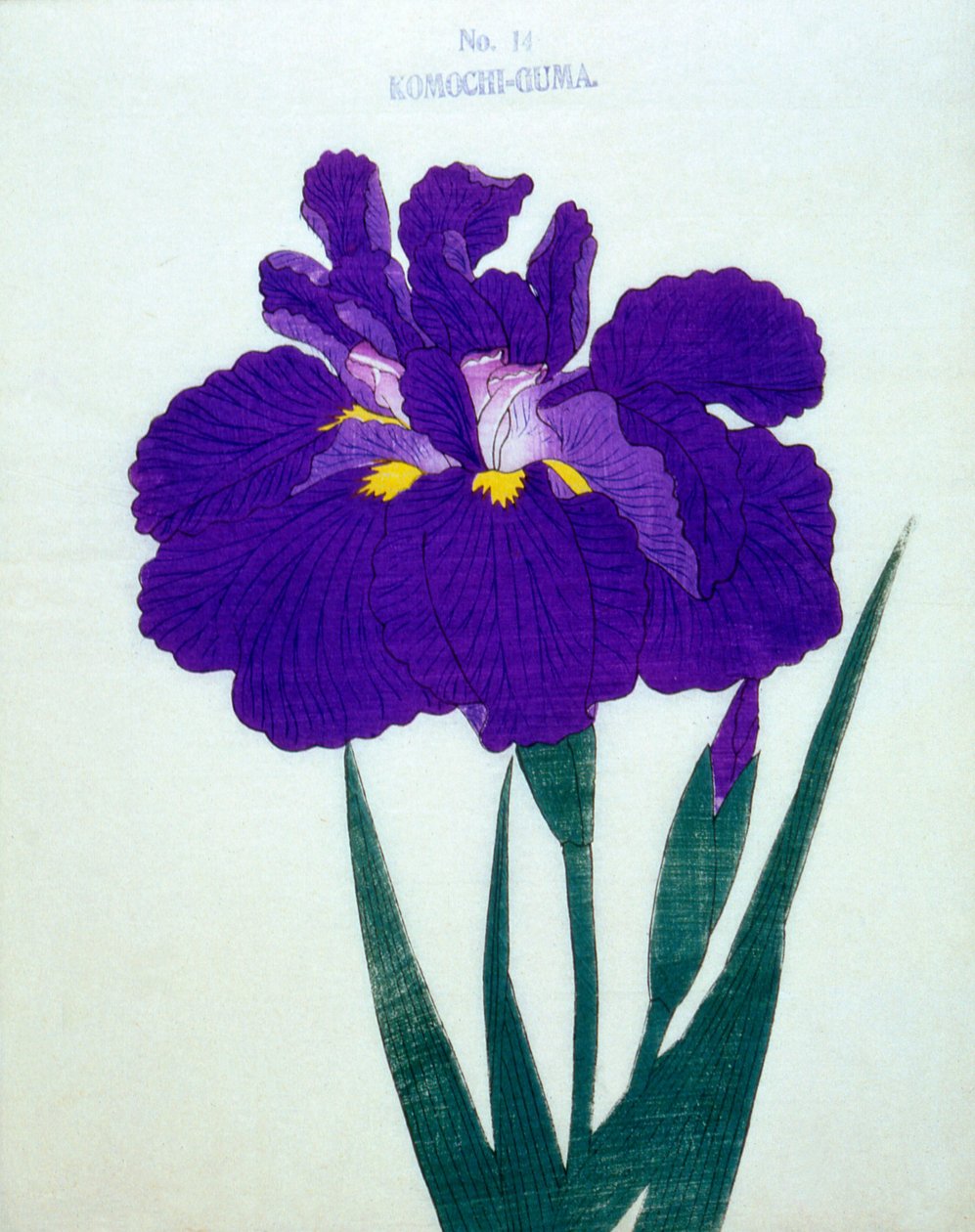 Komochi-Guma no.14,1898 作者 日本学校