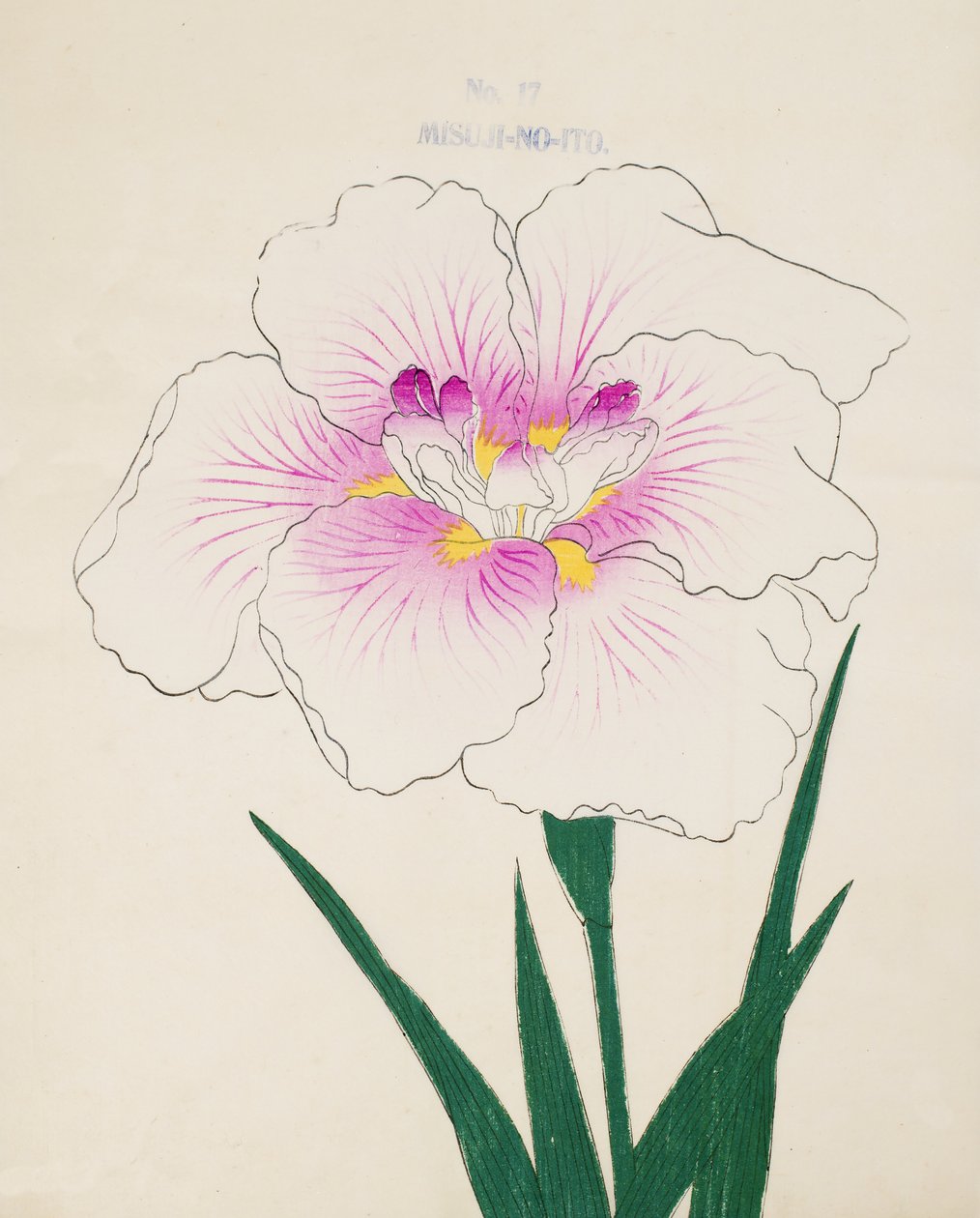 Misuji-no.-Ito，1898年第17号 作者 日本学校