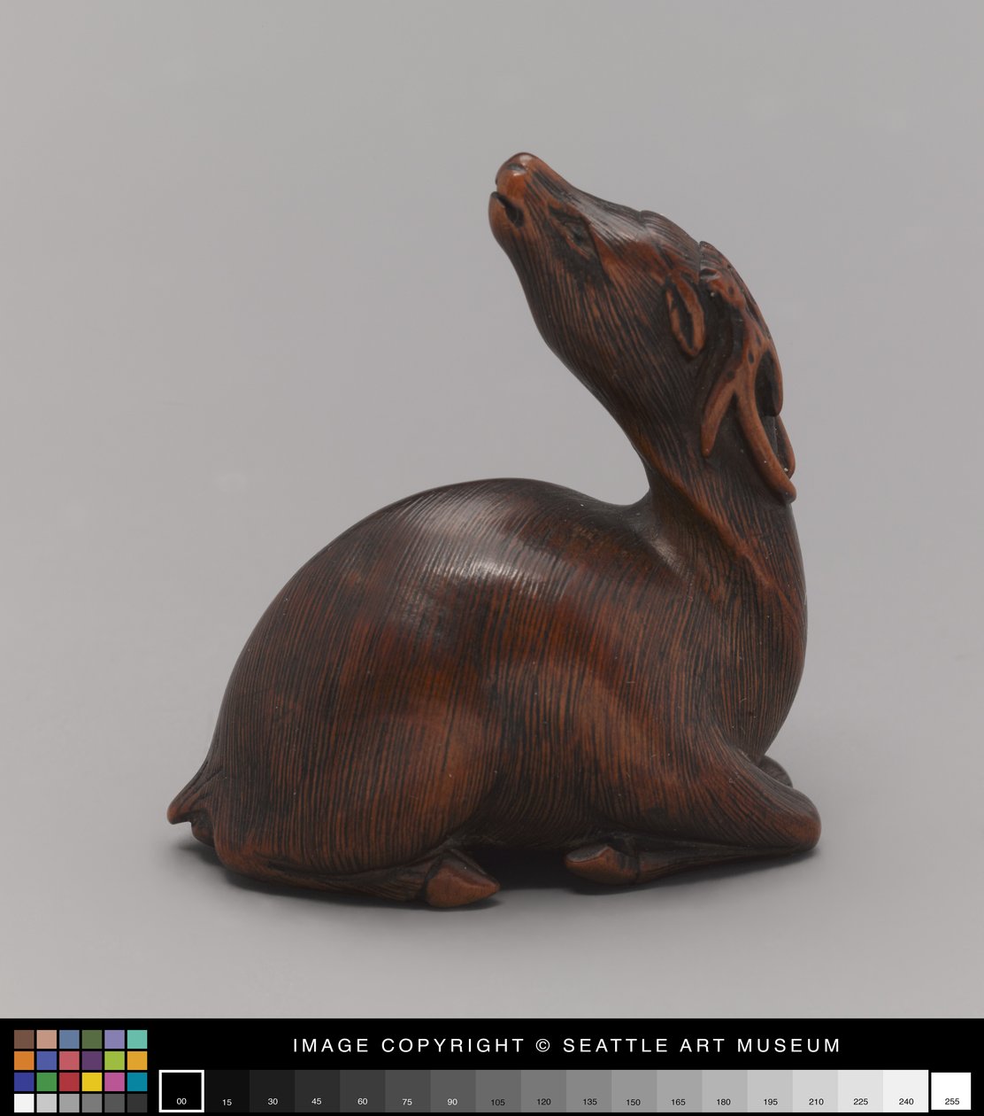 十九世纪中叶模仿象鹿的Netsuke（象牙） 作者 日本学校