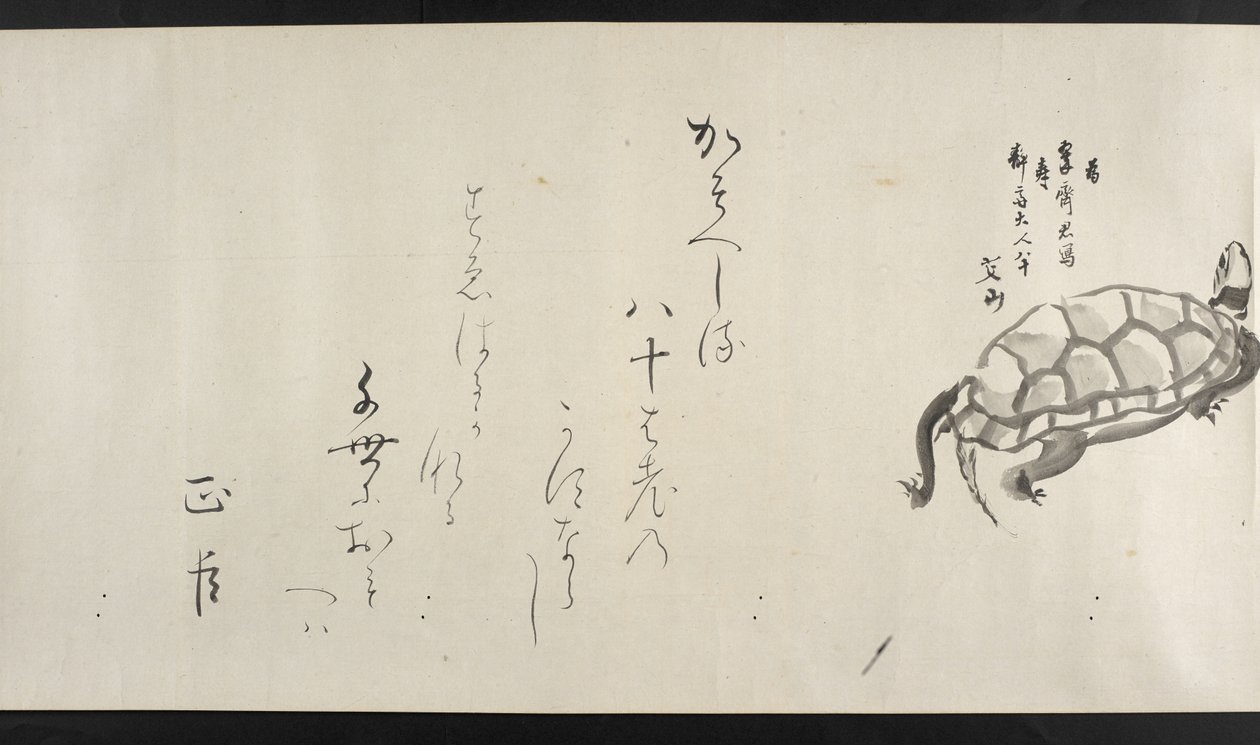 或14872，f.29，龟，出自吉田清斋（手卷） 作者 日本学校