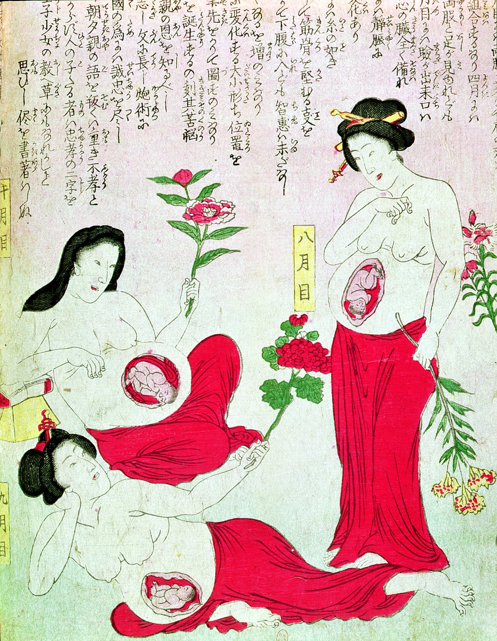 孕妇，1881年 作者 日本学校