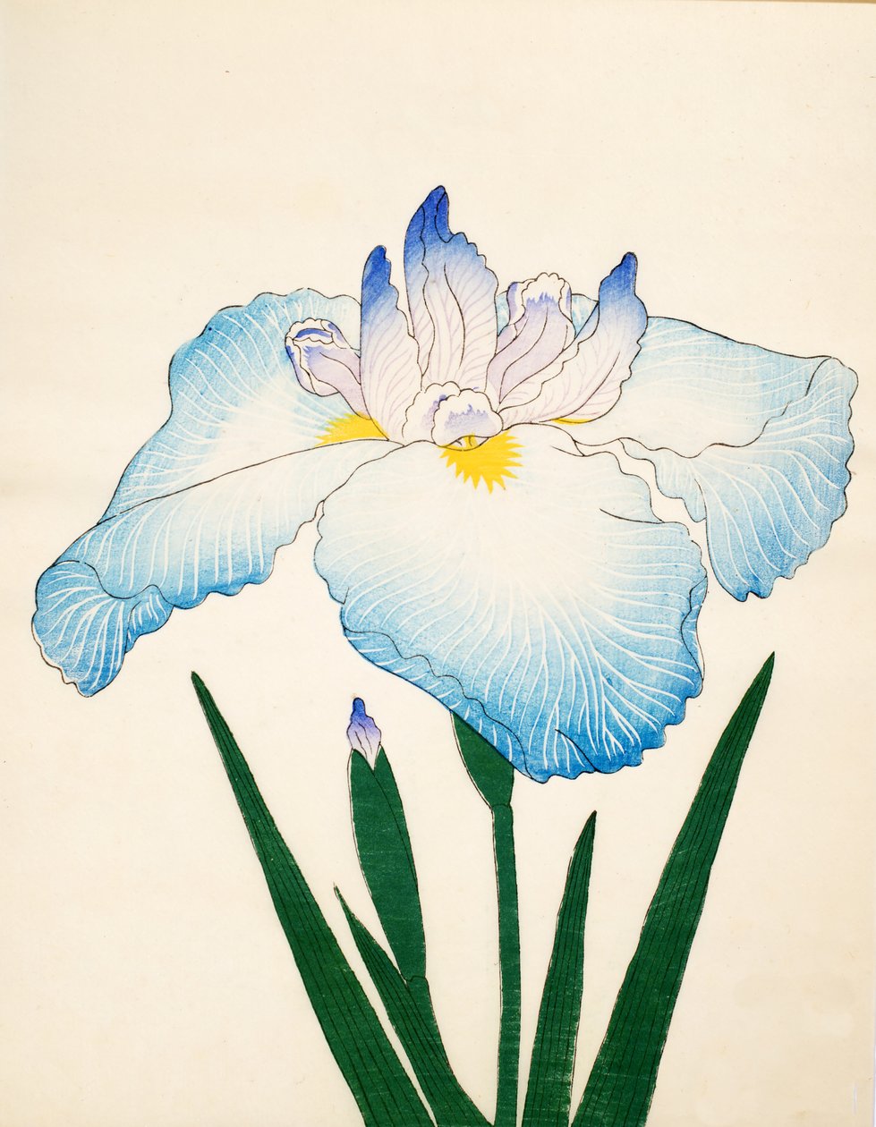 Sazanami，第68号，1890年 作者 日本学校