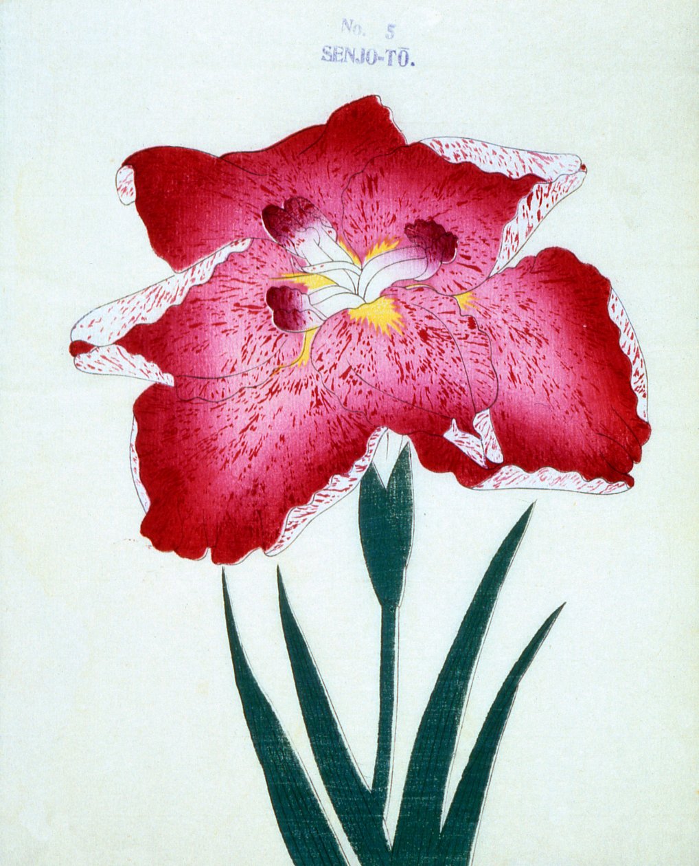 Senjo-To，no.5,1898 作者 日本学校