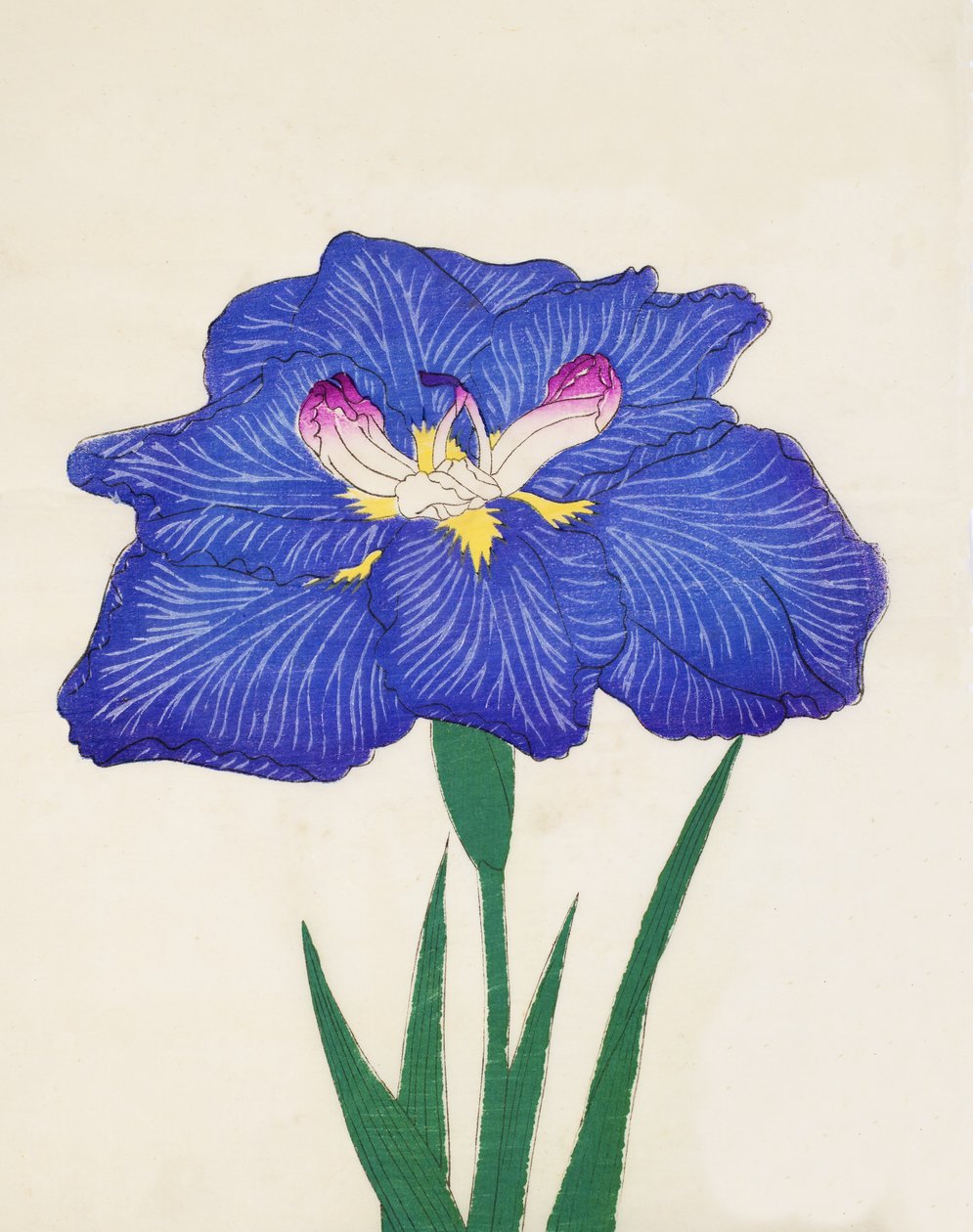 Shiga-no.-Uranami，1898年第3期 作者 日本学校