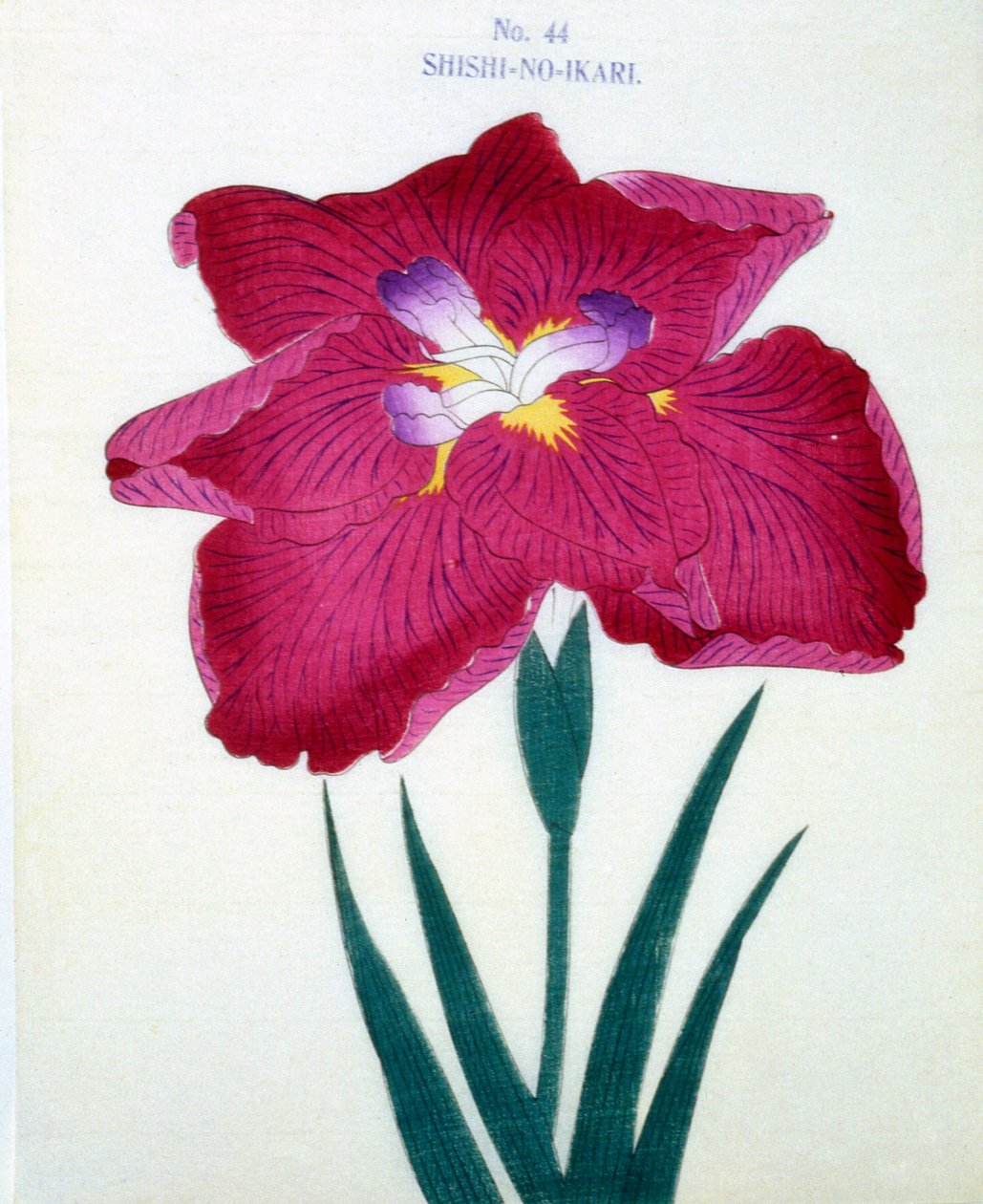 Shishi-no.-Ikari，no.44,1898 作者 日本学校